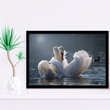 Swan, Love Framed Art Prints Wall Art Decor,Black Frame, Ready to hang