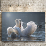 Swan, Love Canvas Prints Wall Art Home Decor - Painting Canvas, Ready to hang