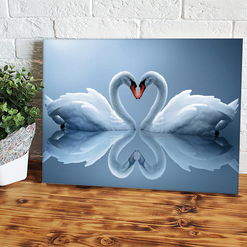 Swan cheapest Canvas Prints