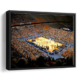 Syracuse University Stadium Framed Canvas Prints Carrier Dome Stadium Wall Art,Sport Stadium Art Prints, Fan Gift