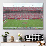 Tampa Bay Buccaneers Stadium Canvas Prints Raymond Stadium,Sport Stadium Art Prints, Fan Gift, Wall Decor