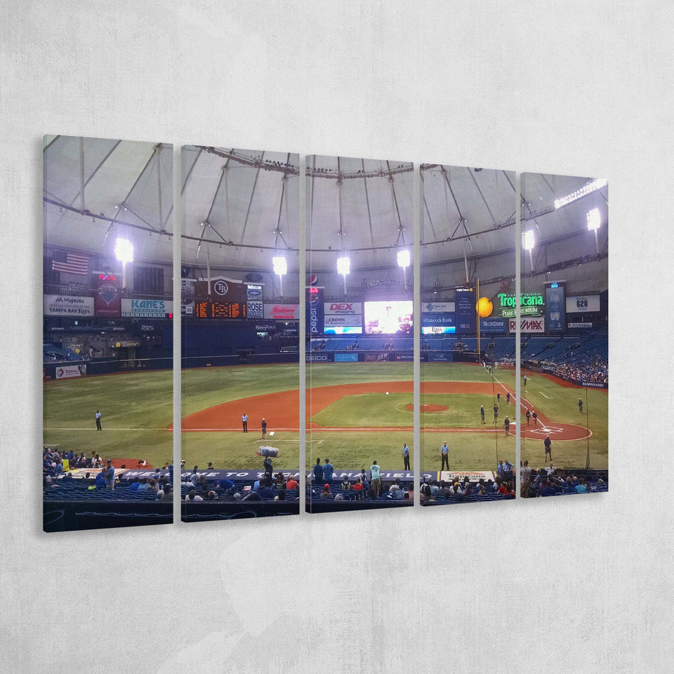 Tampa Bay Rays Wall Art Tropicana Field Stadium Canvas Prints,Multi Panels B,Sport Stadium Art Prints, Fan Gift
