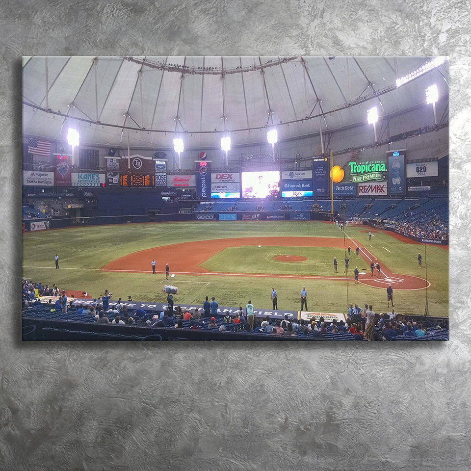 Tampa Bay Rays Wall Art Tropicana Field Stadium Canvas Prints,Sport Stadium Art Prints, Fan Gift, Wall Decor