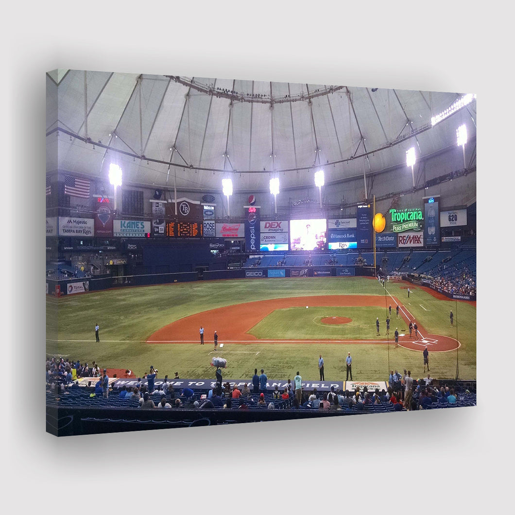 Tropicana Field - Tampa Bay Rays Art Print - the Stadium Shoppe