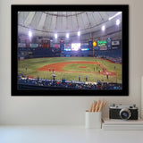 Tampa Bay Rays Wall Art Tropicana Field Stadium Art Prints,Sport Stadium Art Prints, Fan Gift, Wall Decor