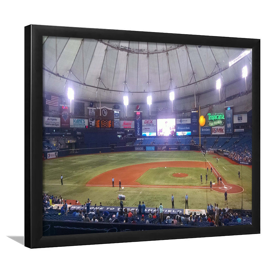 Tampa Bay Rays Wall Art Tropicana Field Stadium Art Prints,Sport Stadium Art Prints, Fan Gift, Wall Decor