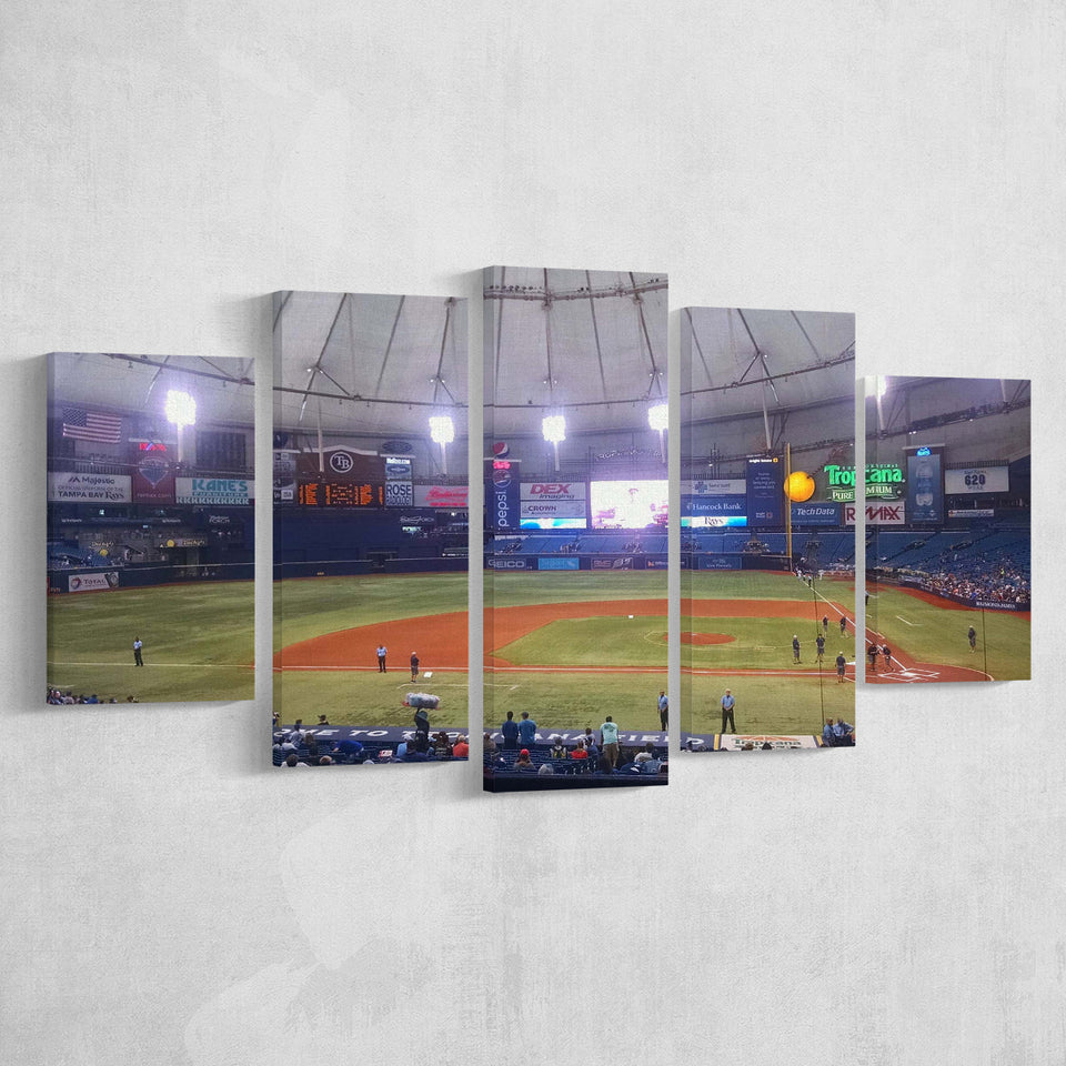 Tampa Bay Rays Wall Art Tropicana Field Stadium Canvas Prints,Multi Panels,Sport Stadium Art Prints, Fan Gift