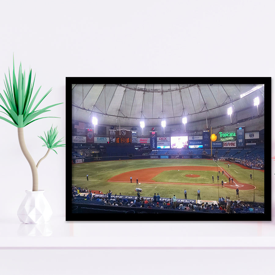 Tampa Bay Rays Wall Art Tropicana Field Stadium Art Prints,Sport Stadium Art Prints, Fan Gift, Wall Decor