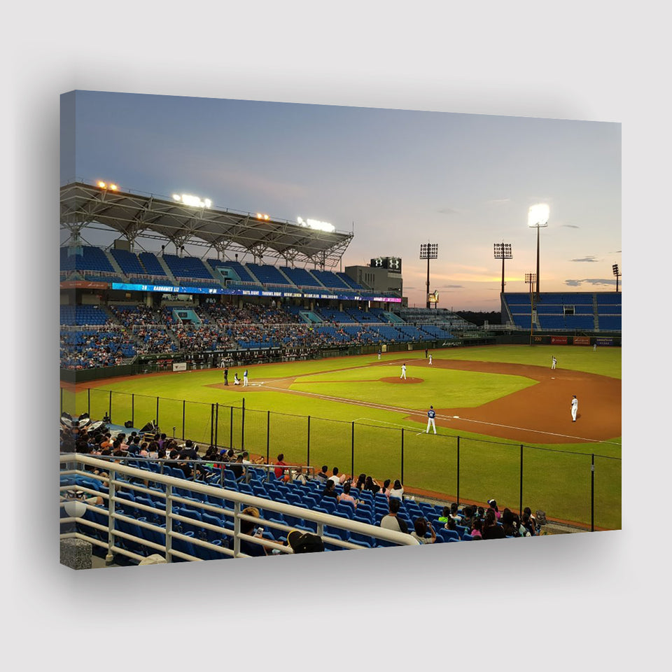 Taoyuan Intl Baseball Stadium, Stadium Canvas, Sport Art, Gift for him, Fan Gift, Canvas Prints Wall Art Decor
