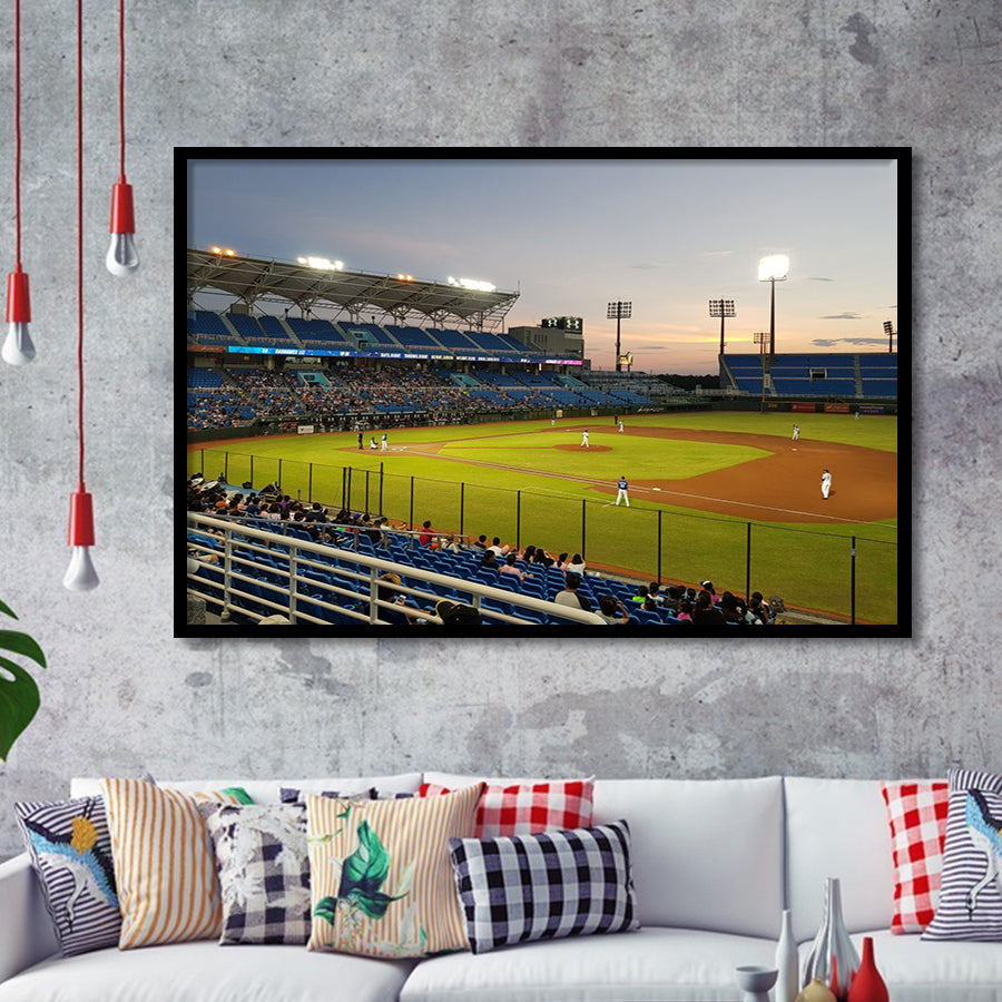 Taoyuan Intl Baseball Stadium, Stadium Canvas, Sport Art, Gift for him, Framed Art Prints Wall Art Decor, Framed Picture