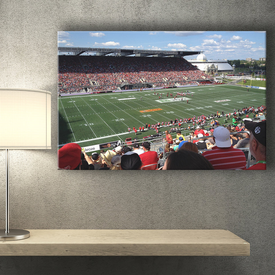 Td Stadium, Stadium Canvas, Sport Art, Gift for him, Fan Gift, Canvas Prints Wall Art Decor