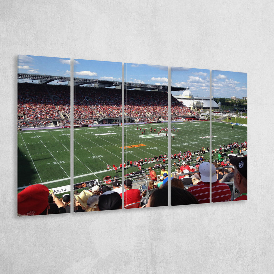 Td Stadium, Stadium Canvas, Sport Art, Gift for him, Multi Panels B, Canvas Prints Wall Art Decor