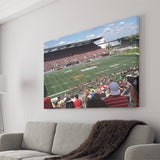 Td Stadium, Stadium Canvas, Sport Art, Gift for him, Fan Gift, Canvas Prints Wall Art Decor