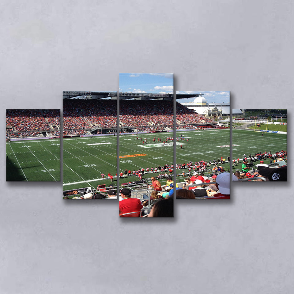 Td Stadium, Stadium Canvas, Sport Art, Large Canvas, Multi Panels, Canvas Prints Wall Art Decor