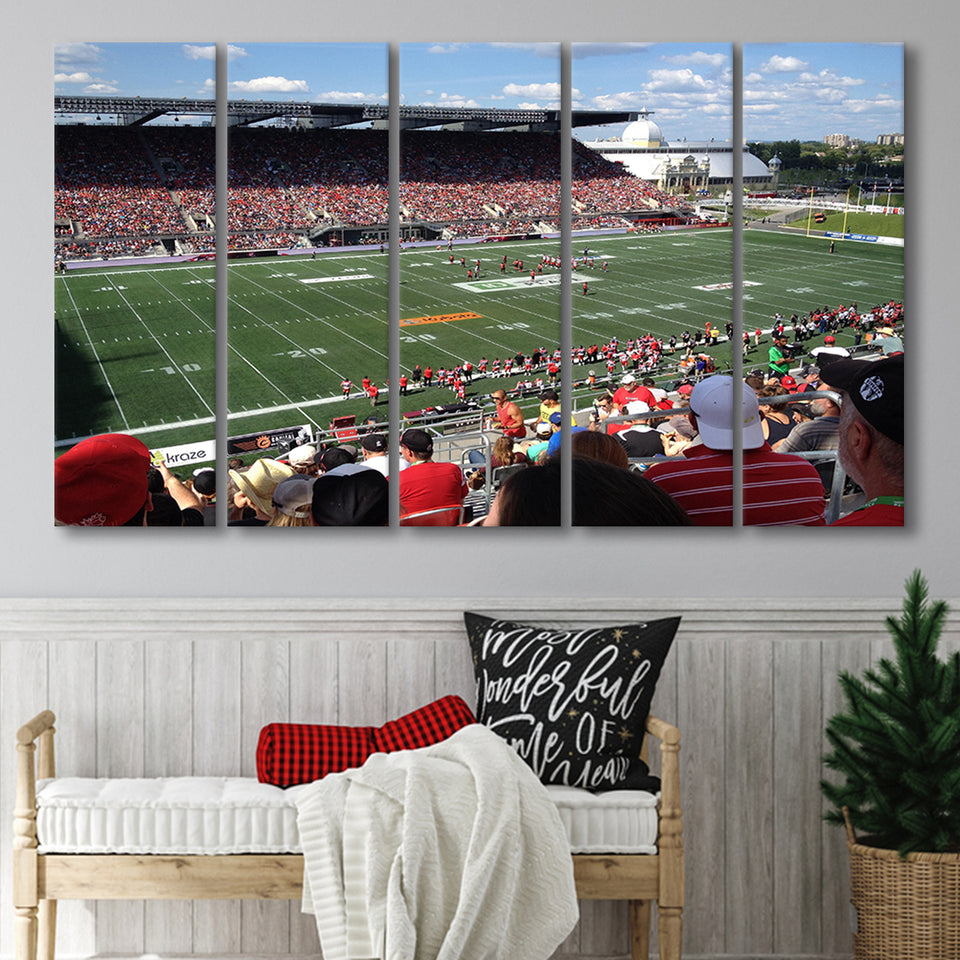 Td Stadium, Stadium Canvas, Sport Art, Gift for him, Multi Panels B, Canvas Prints Wall Art Decor