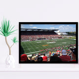 Td Stadium, Stadium Canvas, Sport Art, Gift for him, Framed Art Prints Wall Art Decor, Framed Picture