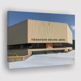 Tennessee Volunteers Stadium Canvas Prints Thompson Boling Arena Wall Art,Sport Stadium Art Prints, Fan Gift, Wall Decor