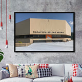 Tennessee Volunteers Stadium Art Prints Thompson Boling Arena Wall Art,Sport Stadium Art Prints, Fan Gift, Wall Decor