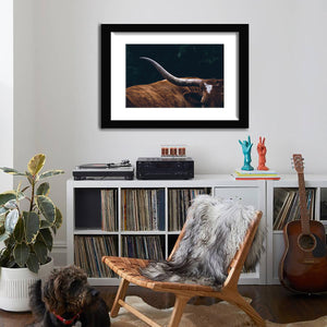 Texas Longhorn Cow-Canvas art,Art print,Frame art