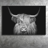 The Black And White Highland Cow With The Black Background Canvas Prints Wall Art - Painting Canvas,Wall Decor,Art Print,Home Decor