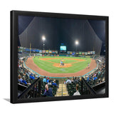 The Diamond Stadium, Stadium Canvas, Sport Art, Gift for him, Framed Art Prints Wall Art Decor, Framed Picture