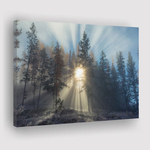The Forest Light Canvas Prints Wall Art - Painting Canvas, Art Prints, Wall Decor, Home Decor, Prints for Sale