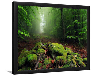 The beauty of the greenery-Forest art, Art print, Plexiglass Cover