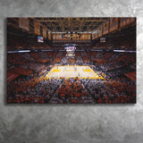 Thompson Boling Arena, Stadium Canvas, Sport Art, Gift for him, Fan Gift, Canvas Prints Wall Art Decor