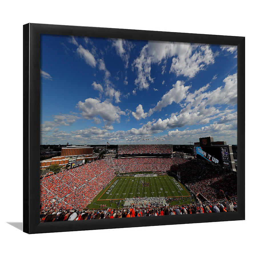 Thompson Stadium Arena, Stadium Canvas, Sport Art, Gift for him, Framed Art Prints Wall Art Decor, Framed Picture