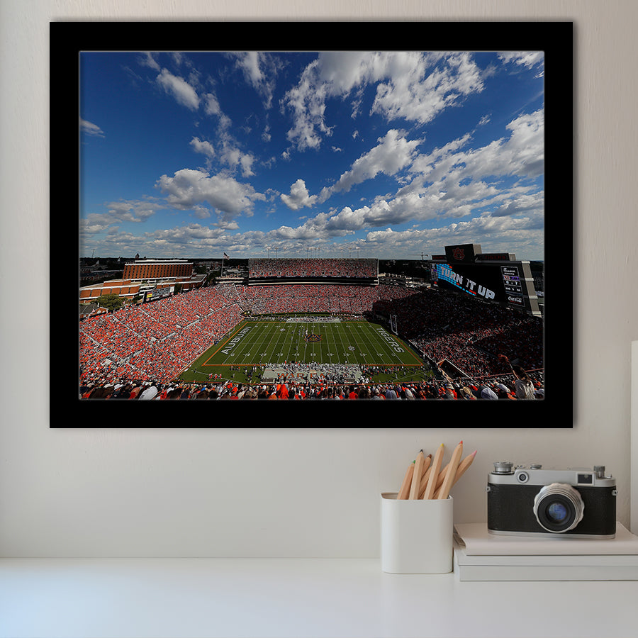 Thompson Stadium Arena, Stadium Canvas, Sport Art, Gift for him, Framed Art Prints Wall Art Decor, Framed Picture