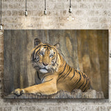 Tiger Printing Art Big Cat Wild Animal Art Canvas Prints Wall Art Decor - Paiting Canvas, Art Prints, Wall Decor, For Sale