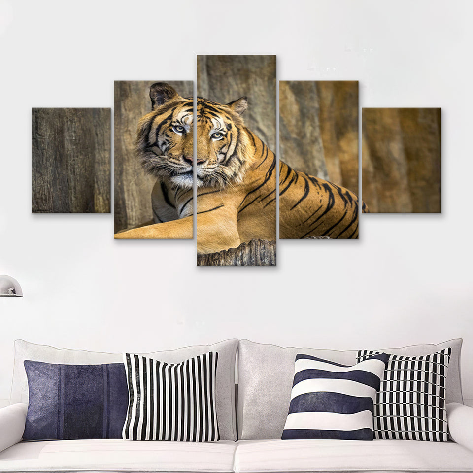 Tiger Printing Art Big Cat Wild Animal Art 5 Piece Canvas Prints Wall Art Decor - Painting Canvas, Multi Panels