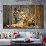 Tiger Printing Art Big Cat Wild Animal Art 5 Piece B Canvas Prints Wall Art Decor - Painting Canvas, Multi Panels