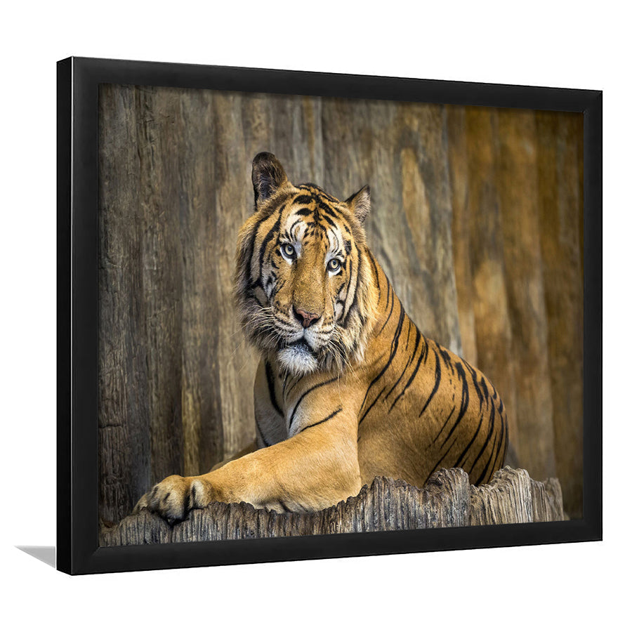 Tiger Printing Art Big Cat Wild Animal Art Framed Art Prints Wall Decor - Painting Prints, Framed Picture, Home Decor
