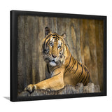 Tiger Printing Art Big Cat Wild Animal Art Framed Art Prints Wall Decor - Painting Prints, Framed Picture, Home Decor
