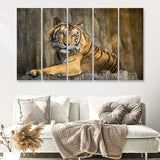 Tiger Printing Art Big Cat Wild Animal Art 5 Piece B Canvas Prints Wall Art Decor - Painting Canvas, Multi Panels