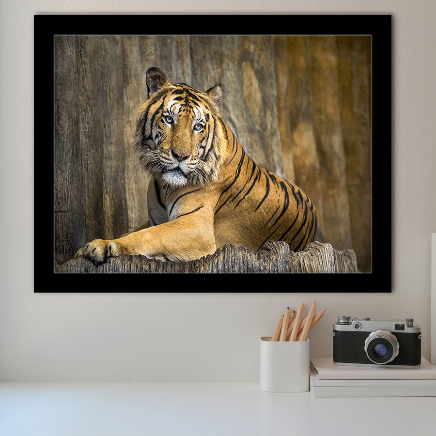 Tiger Printing Art Big Cat Wild Animal Art Framed Art Prints Wall Decor - Painting Prints, Framed Picture, Home Decor
