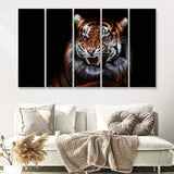 Tiger Wild Cat Evil 5 Pieces B Canvas Prints Wall Art - Painting Canvas, Multi Panels,5 Panel, Wall Decor
