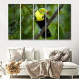 Toucan Bird Contemporary 5 Piece B Canvas Prints Wall Art Decor - Painting Canvas, Multi Panels