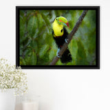 Toucan Bird Contemporary Framed Canvas Prints Wall Art Decor - Paiting Canvas, Art Prints, Floating Frame
