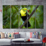 Toucan Bird Contemporary 5 Piece B Canvas Prints Wall Art Decor - Painting Canvas, Multi Panels