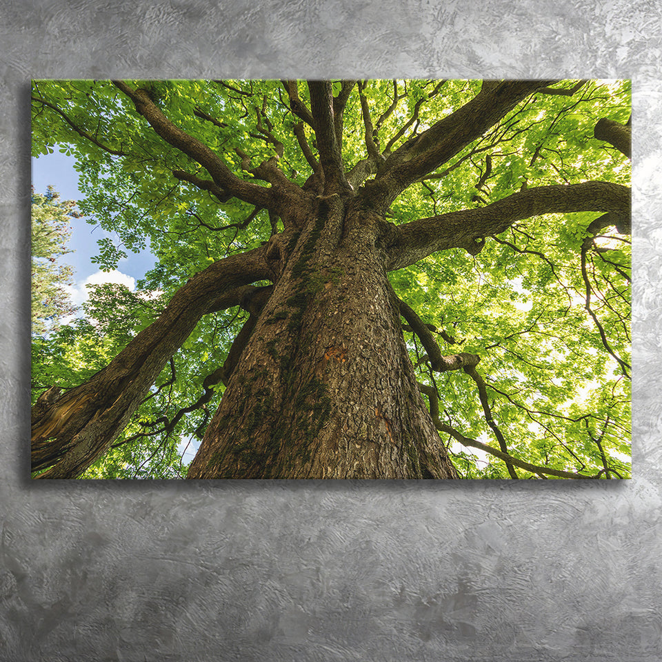 Tree Branch Canvas Prints Wall Art Decor - Painting Canvas,Home Decor, Ready to Hang