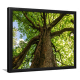 Tree Branch Framed Art Prints Wall Art Decor, Framed Picture, Home Decor