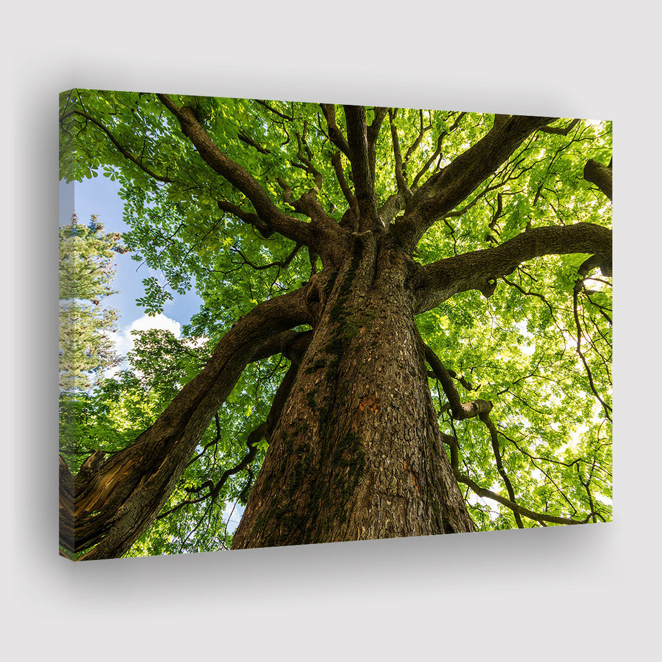 Tree Branch Canvas Prints Wall Art Decor - Painting Canvas,Home Decor, Ready to Hang