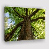 Tree Branch Canvas Prints Wall Art Decor - Painting Canvas,Home Decor, Ready to Hang