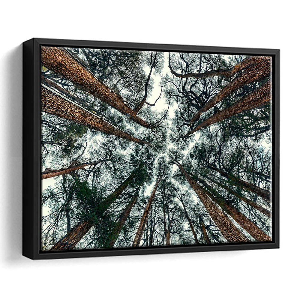 Abstract Tree Branch Art