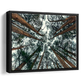 Tree Branch Abstract Tree Large Forest Framed Canvas Prints Wall Art Home Decor - Painting Canvas, Black Frame, Framed Picture