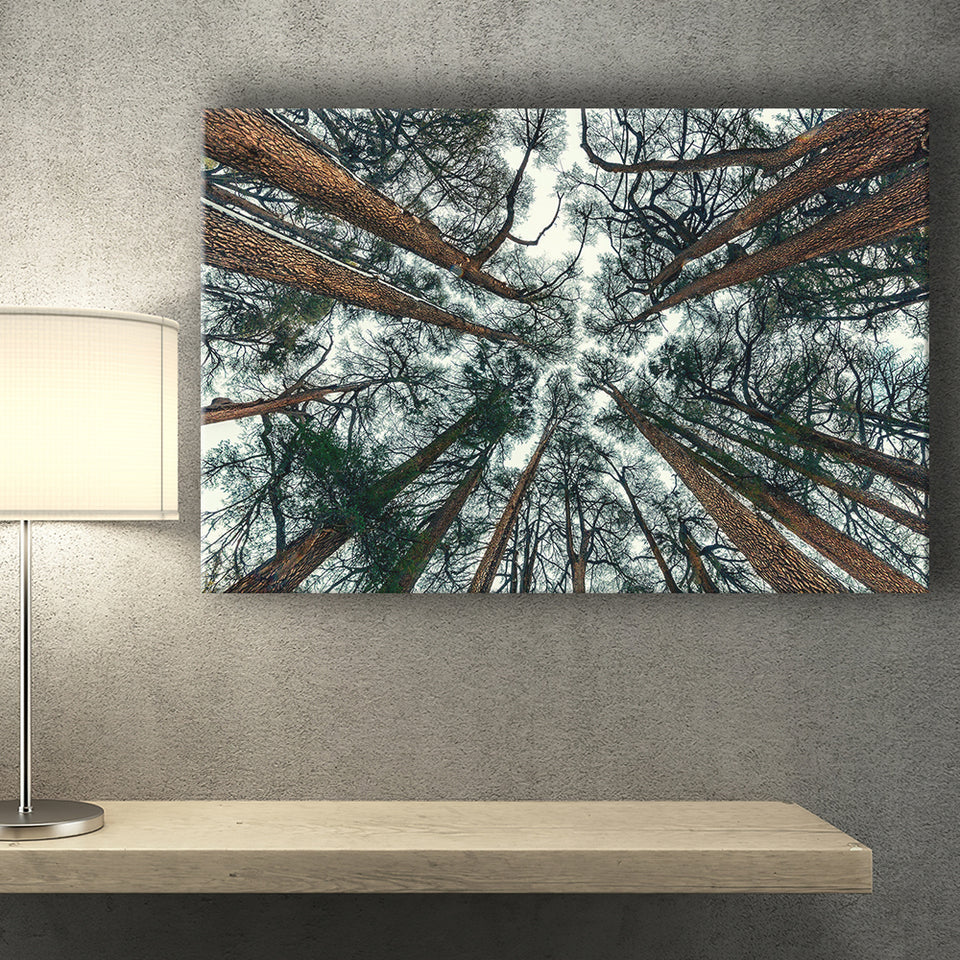 Tree Branch Print Abstract Tree Large Forest Print Landscape Canvas Prints Wall Art Home Decor - Painting Canvas, Ready to hang