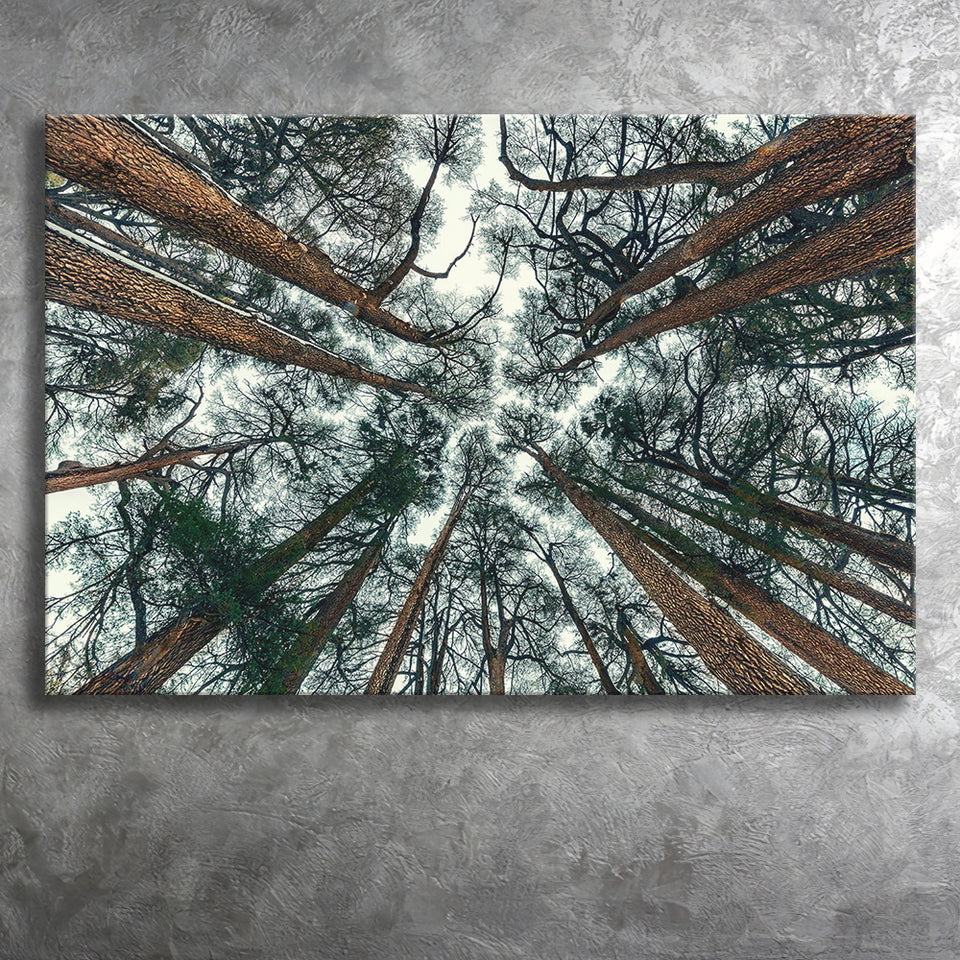 Tree Branch Print Abstract Tree Large Forest Print Landscape Canvas Prints Wall Art Home Decor - Painting Canvas, Ready to hang