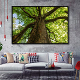 Tree Branch Tree Tree Branch Framed Canvas Prints Wall Art Home Decor - Painting Canvas, Black Frame, Framed Picture